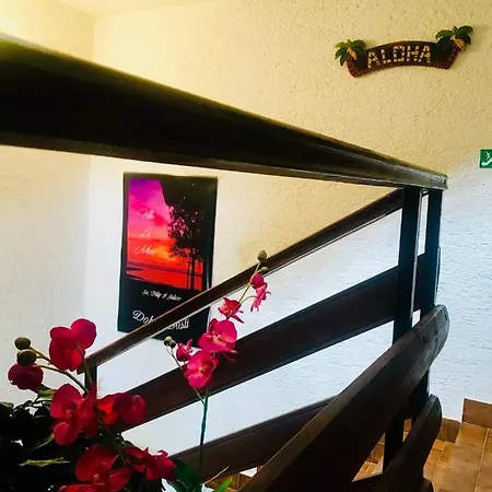 Apartment La More - Sv Filip I Jakov Sveti Filip i Jakov